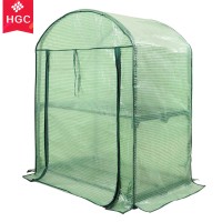 PE cover mini steel tube garden greenhouse for sale most popular with good quality